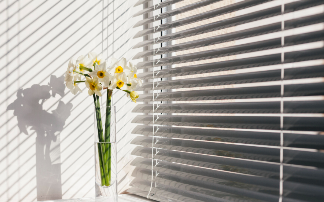 Window Shadings 101: A Stylish Solution for Light Control and Privacy.