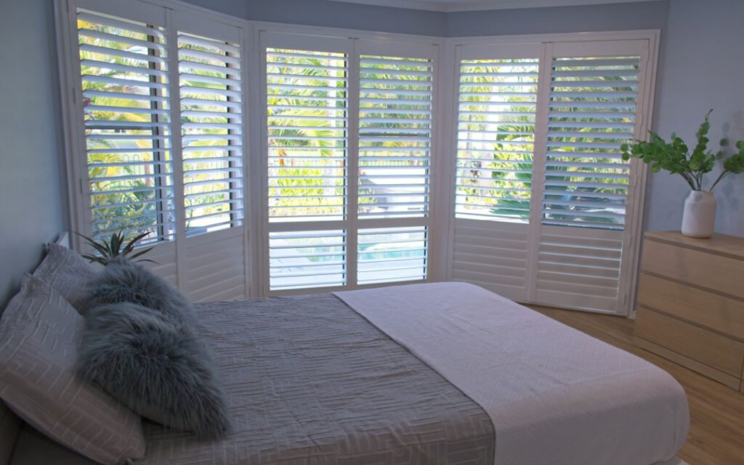 Eco-Friendly Window Solutions: How Plantation Shutters Benefit Both Homes and Offices…