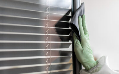 Cleaning and Maintaining Plantation Shutters: Tips for Longevity…